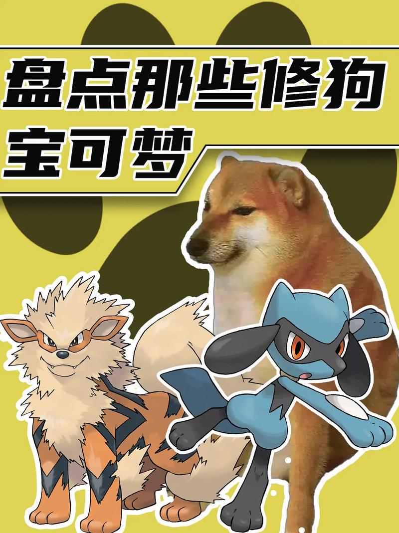 pettycat安卓版下载