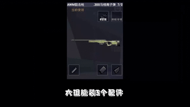 AWM用什么子弹,一颗多重
