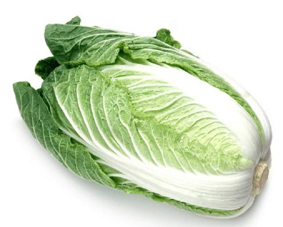 白菜坑官网