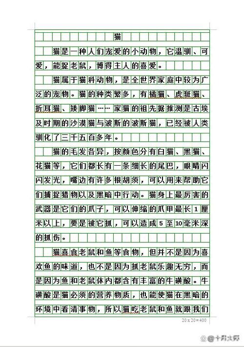 小猫作文400字五年级
