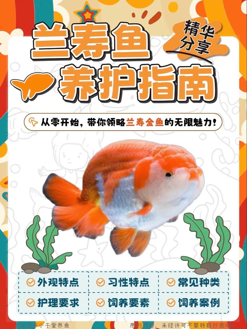 观赏鱼养殖技术及方法大全