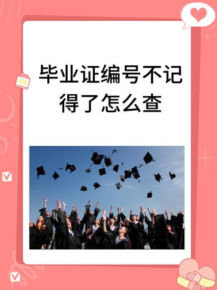 域名证书查询网站游戏截图