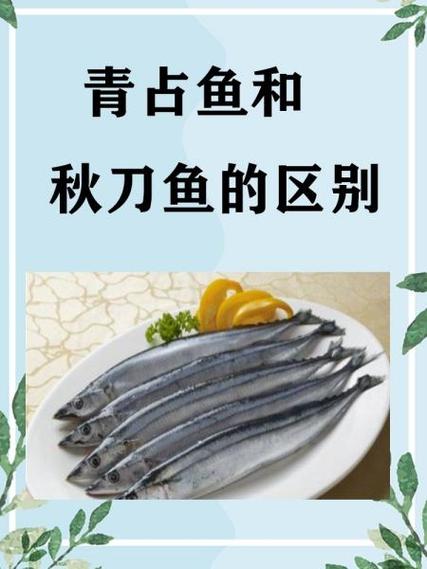青花鱼的价格截图