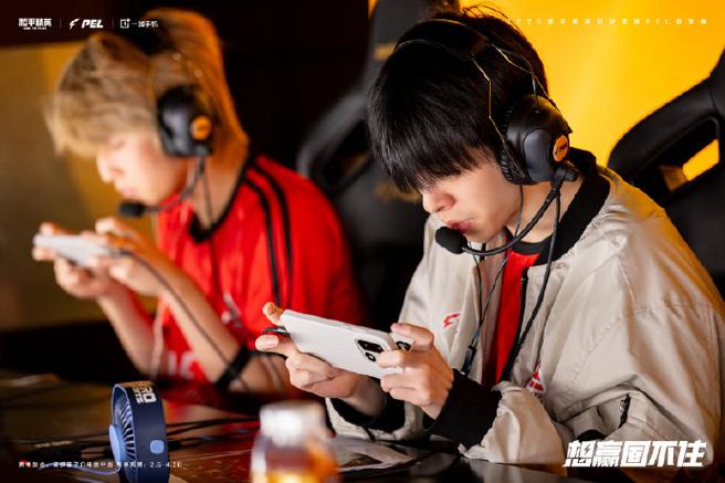 2026PEL夏季赛直播