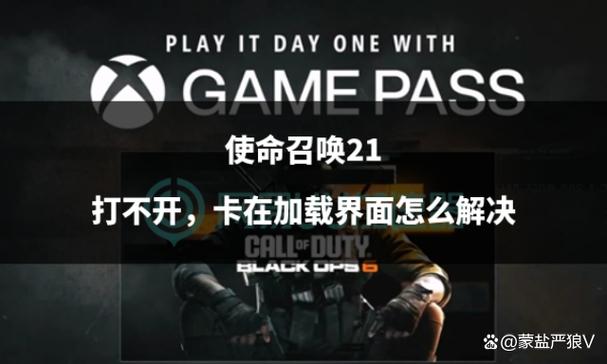 使命召唤卡在界面进不去怎么办
