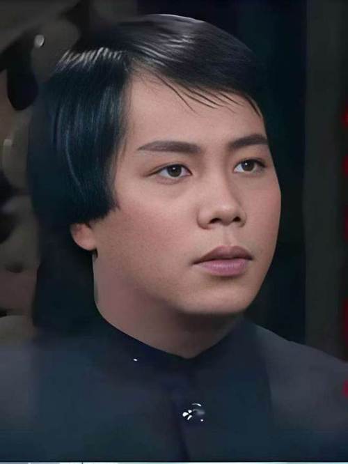 陈真第2集梁小龙版