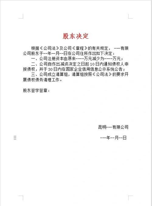 自然人独资的公司章程