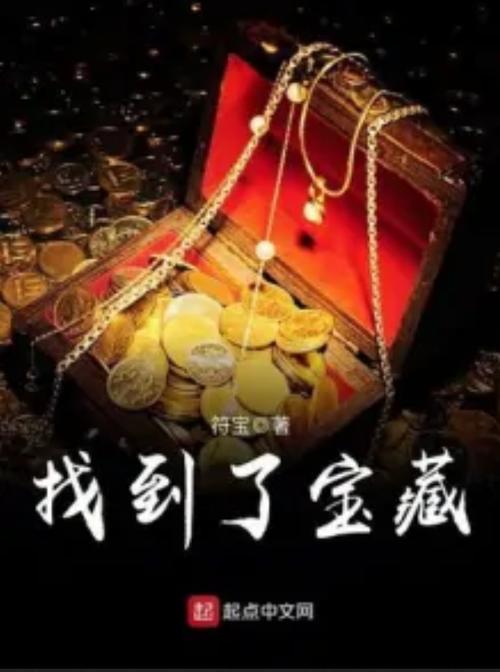 找到德国宝藏的小说