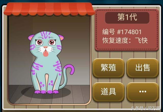 区块猫最新消息