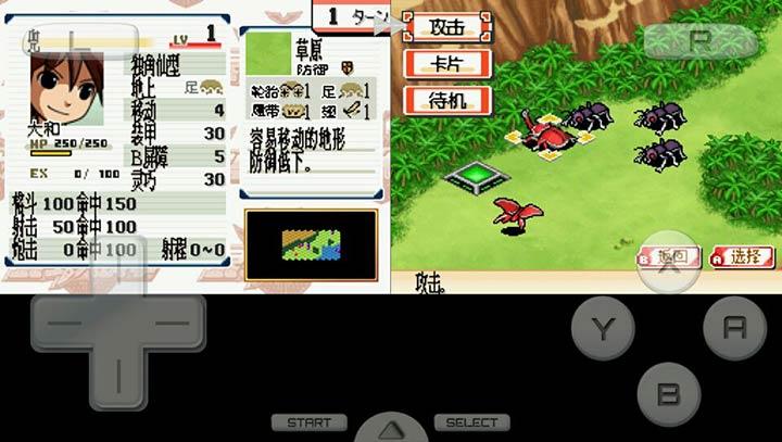 NDS昆虫大战