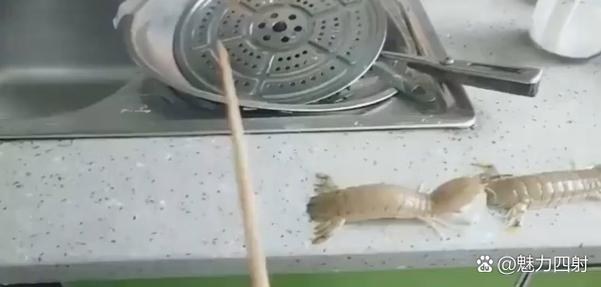 皮皮虾搞笑视频