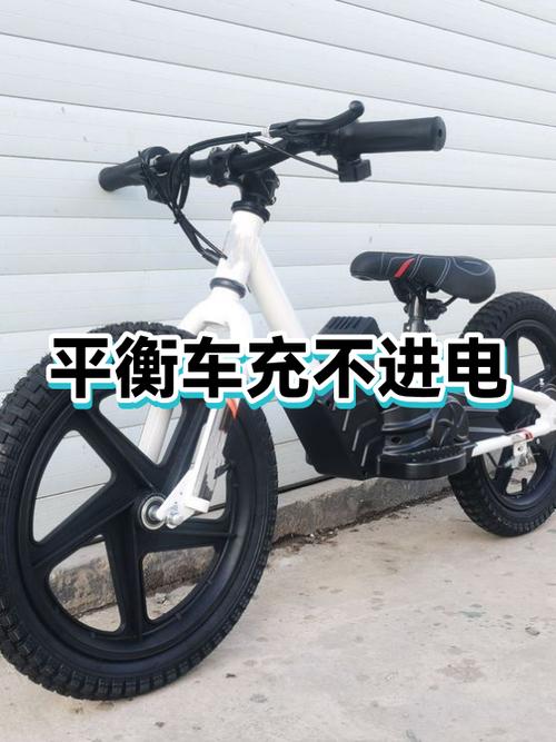 平衡车充不进电怎么办截图