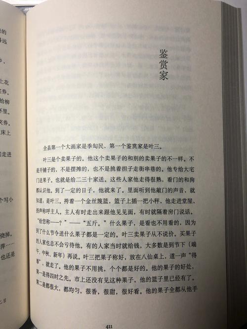 大鉴赏家 (小说)