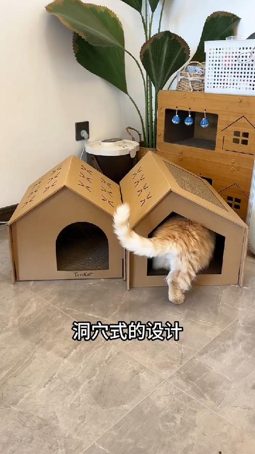 猫窝制作方法 纸箱截图