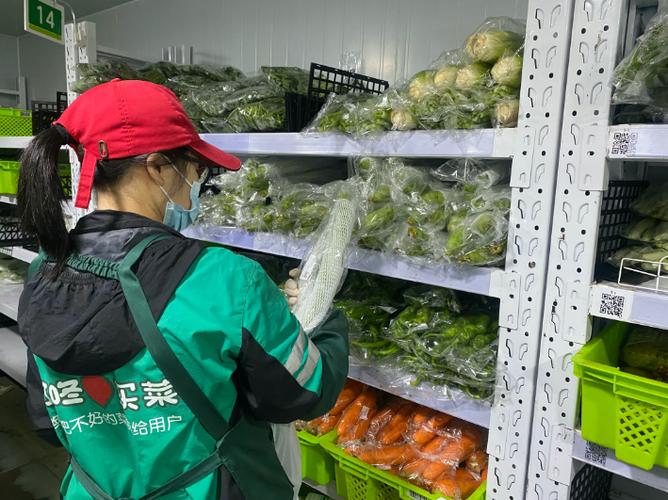 叮咚买菜经营状况