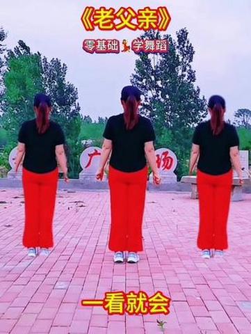 老年广场舞视频大全缩略图