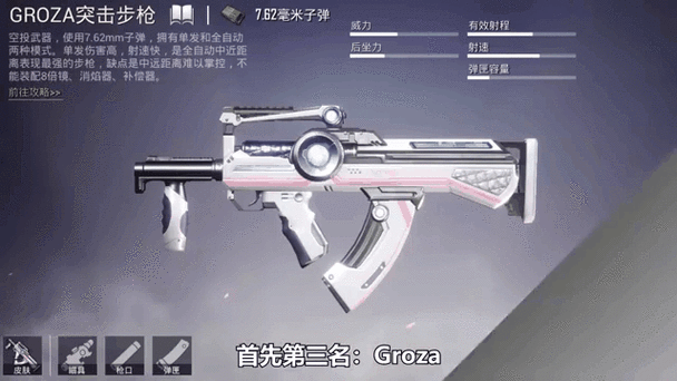 团队竞技最好的枪缩略图