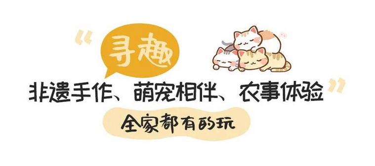 寻趣的意思