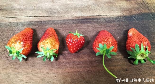 草莓和什么比较大小截图