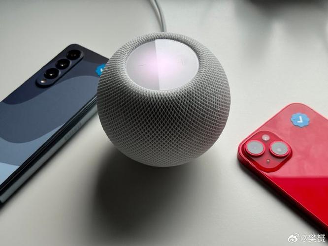 homdpodmini重置试了好几次为啥都不行
