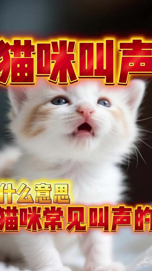 猫咪发出汪汪的声音