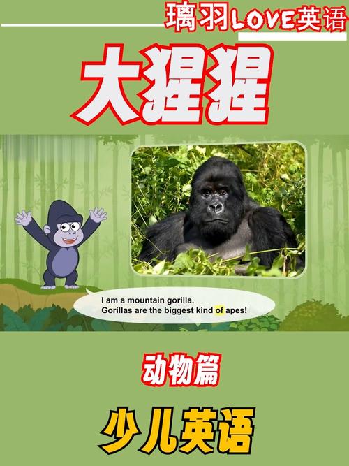 大猩猩英文grilla