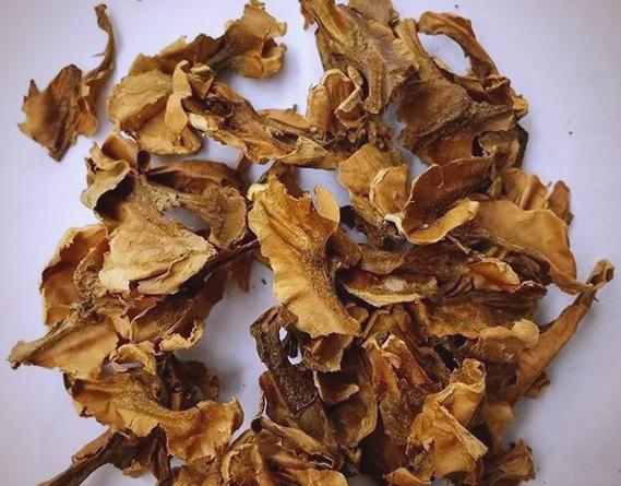 分心木怎样用效果更佳截图
