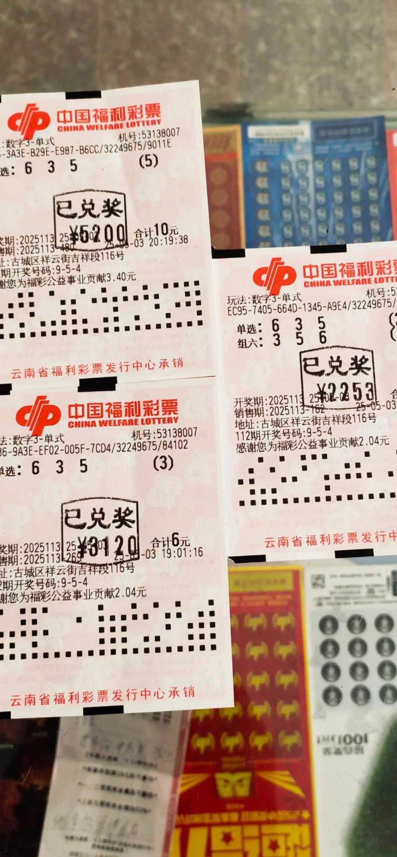 3D双龙汇两期稳赚