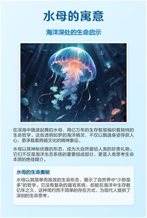 水母的寓意及象征图标