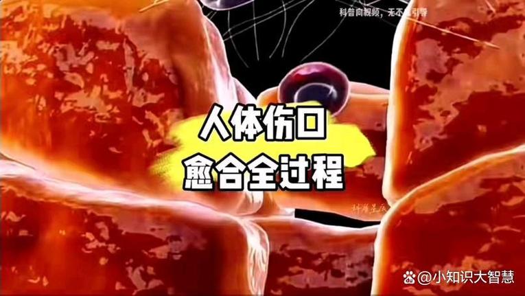 自动修复无法修复你的电脑