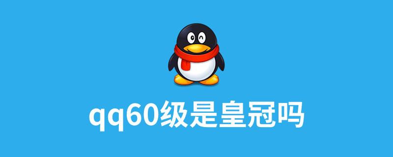 扣扣60级是什么标志