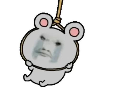 可以保存表情包的软件
