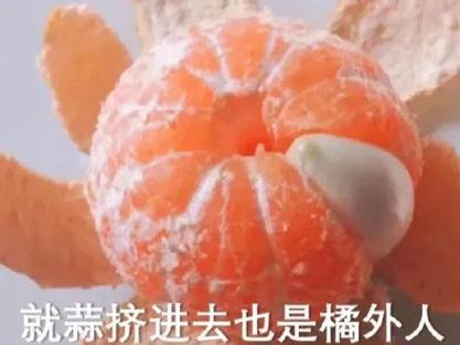 桔子的梗