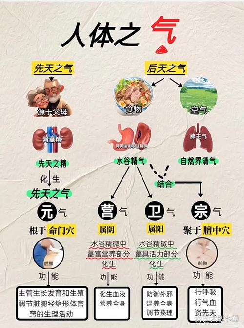 五脏通神,诞生神通图标