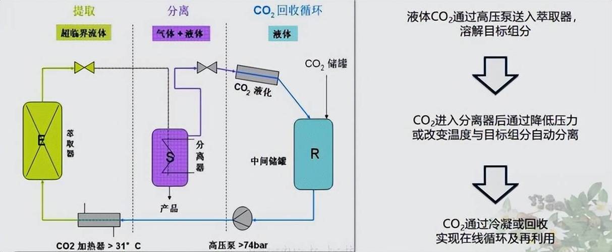 超临界流体萃取原理截图