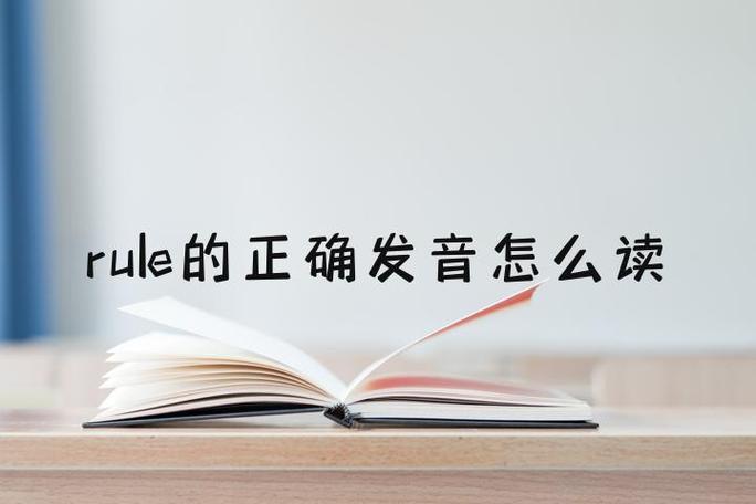 rules是什么意思英语截图