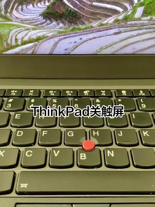 thinkpad在哪关闭触摸板
