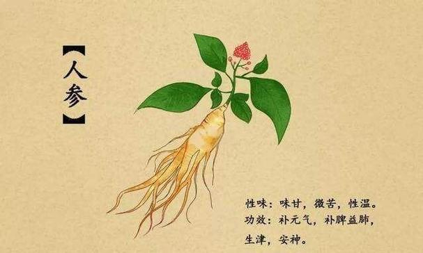 神农为何要尝百味草