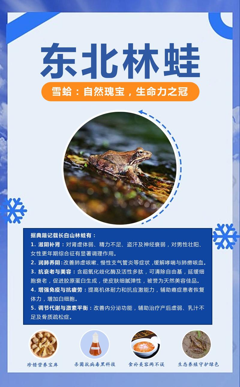 林蛙养殖条件和方法缩略图