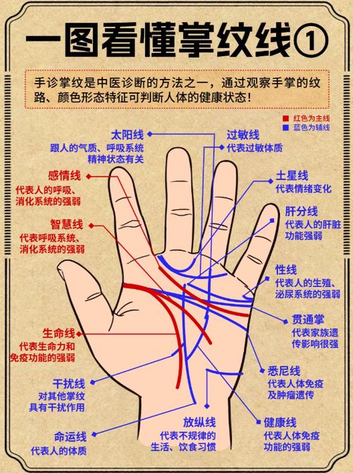 男手相图解大全左手