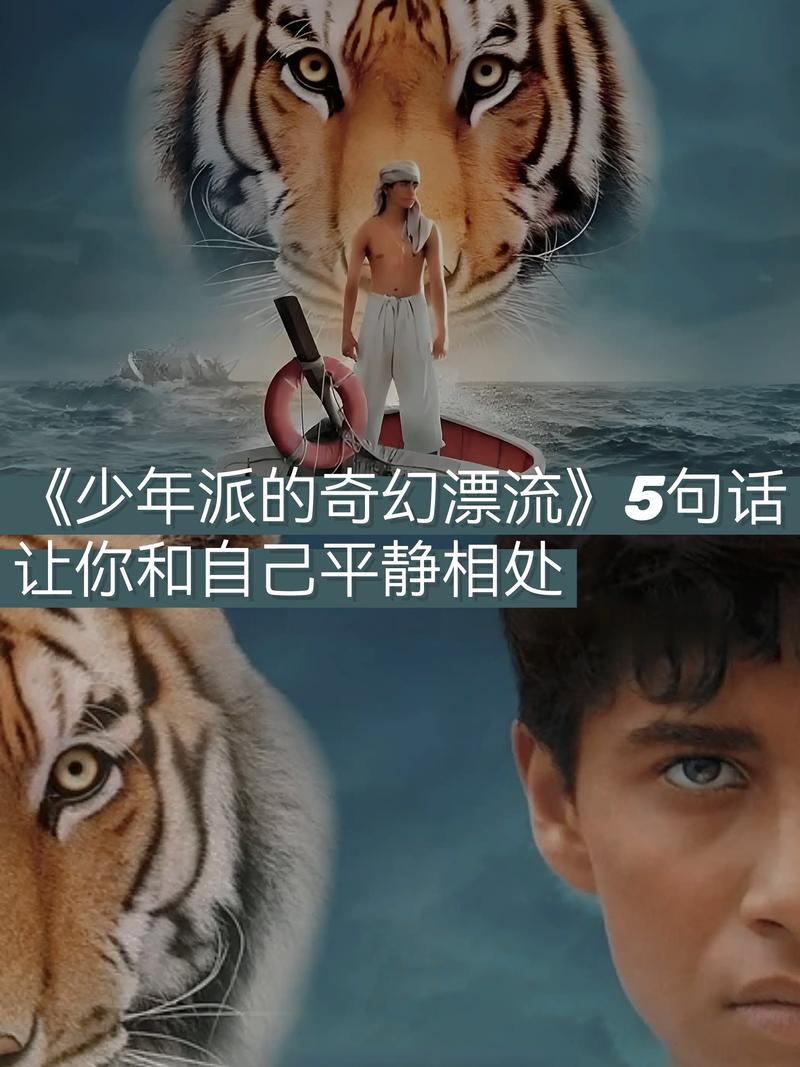 少年派的奇幻漂流豆瓣评分