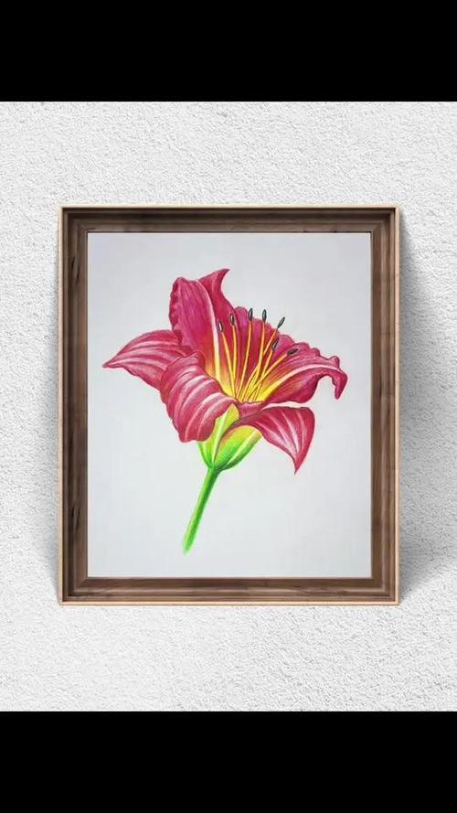 彩铅画适合老年人学吗