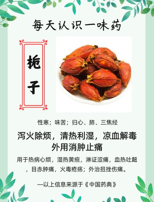 慢性胃炎能喝栀子吗