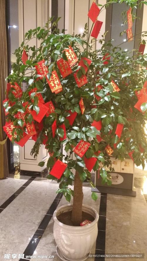 红包摇钱树缩略图
