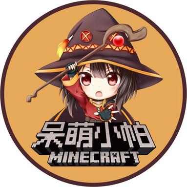 关注呆萌小帕