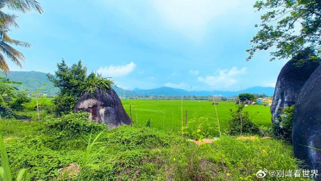 美丽乡村最火的一句游戏截图