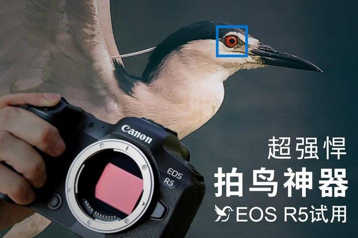 逆光拍摄的参数设置
