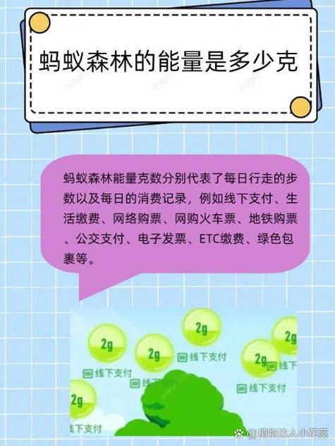 蚂蚁森林etc能量多少