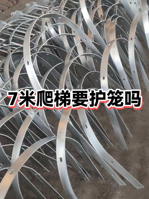 爬梯子打一数字