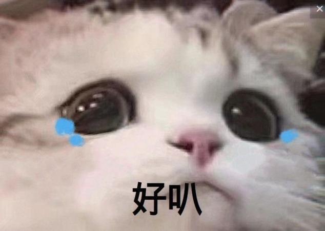 很萌的表情包